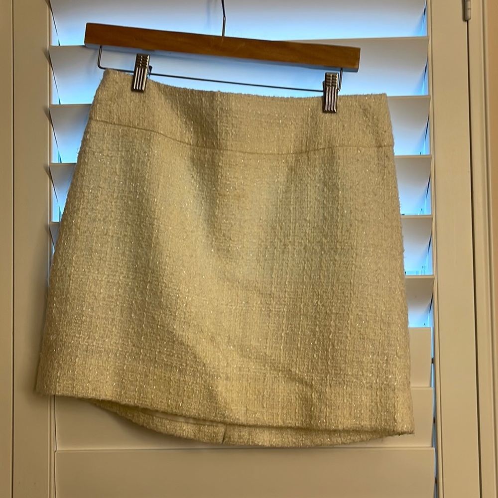 The Limited mini skirt